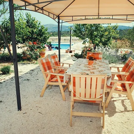This Is Life Ranch
