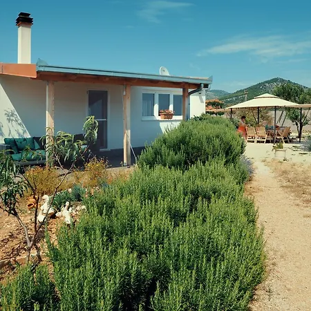 This Is Life Ranch *